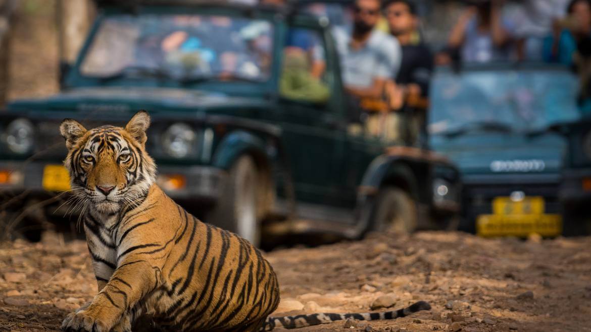 Rajasthan-Wildlife-Tour